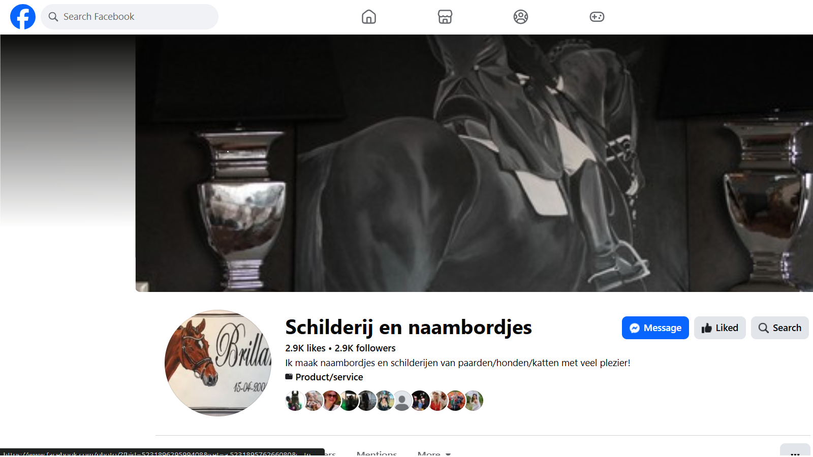 Voorbeeld van de Facebookpagina van Anita's Schilderijen