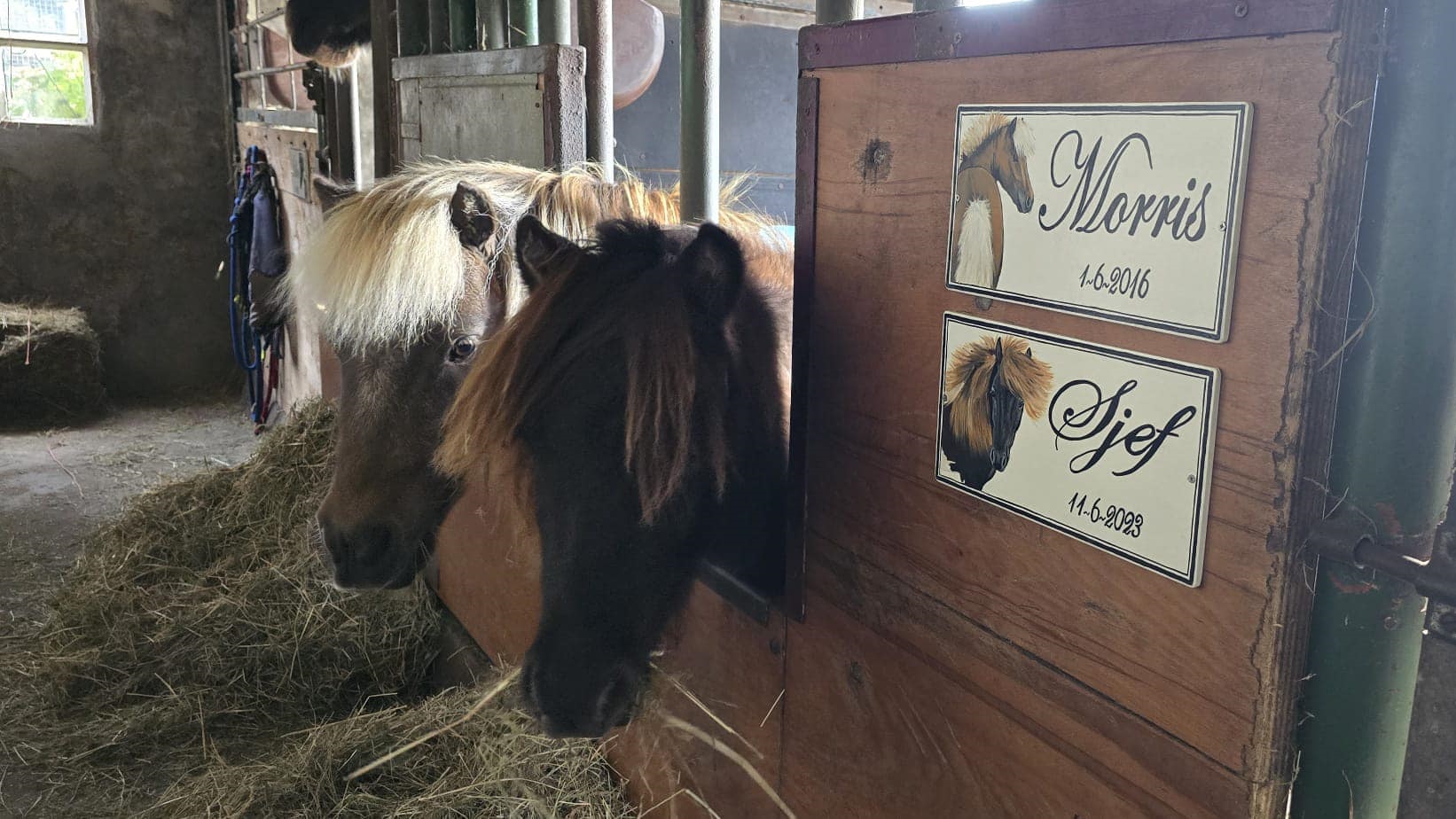 Voorbeeld van een handgeschilderd naambord op boomschors